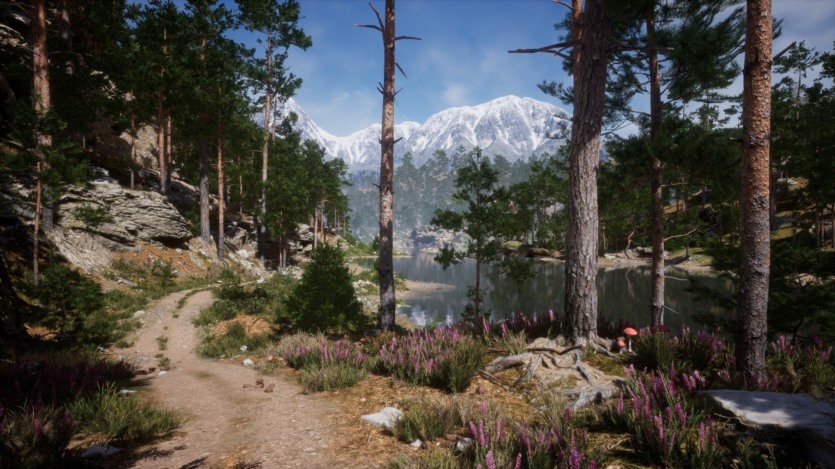 UE虚幻引擎 山林环境景观植物库 Mountain - Environment Set