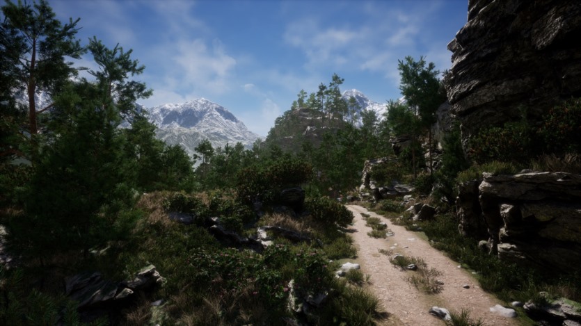 UE虚幻引擎 山林环境景观植物库 Mountain - Environment Set