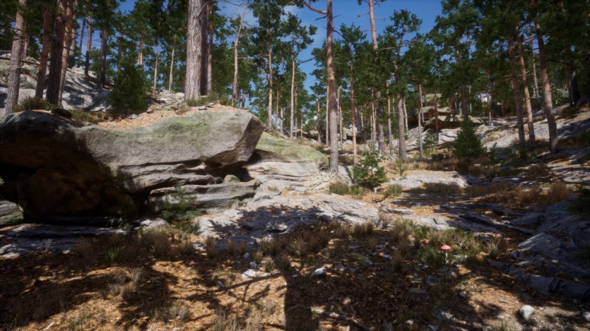 UE虚幻引擎 山林环境景观植物库 Mountain - Environment Set