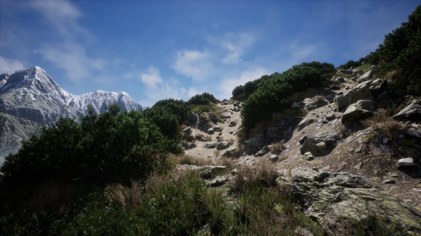 UE虚幻引擎 山林环境景观植物库 Mountain - Environment Set
