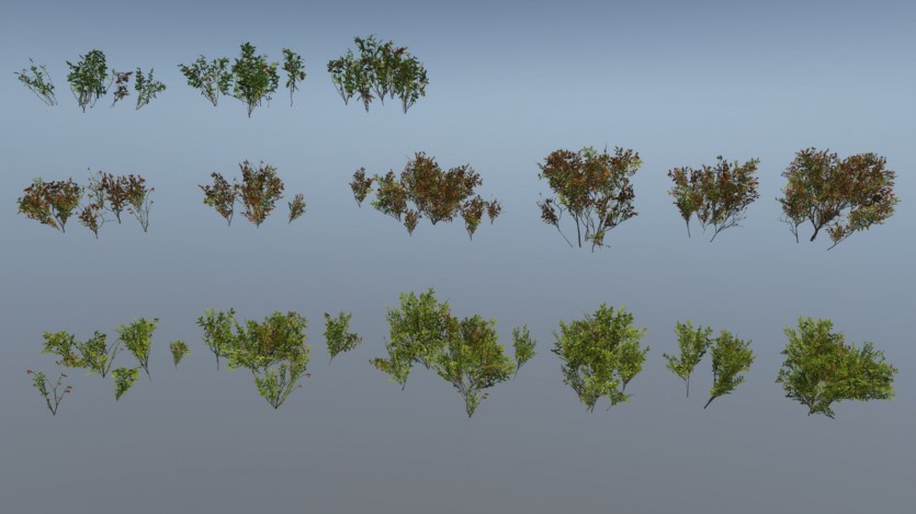 UE虚幻引擎 山林环境景观植物库 Mountain - Environment Set