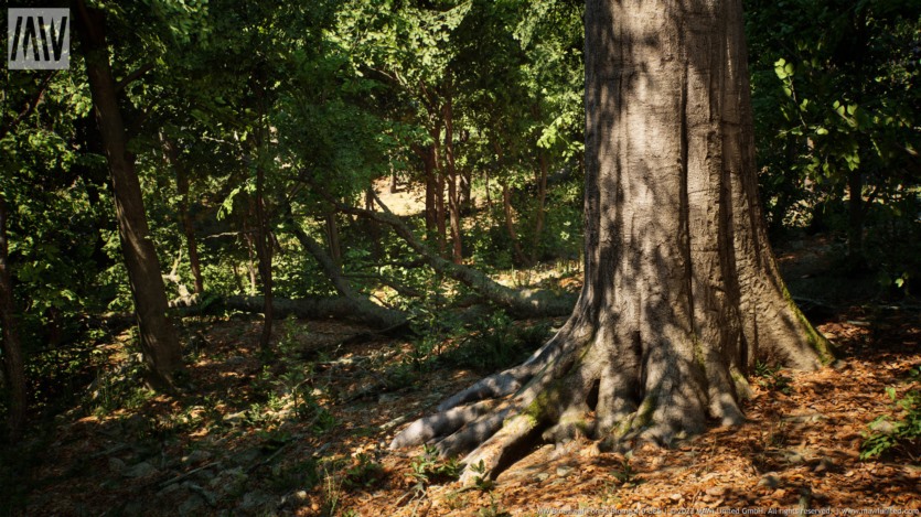 UE虚幻引擎 阔叶树森林生物群落 MW Broadleaf Trees Forest Biome