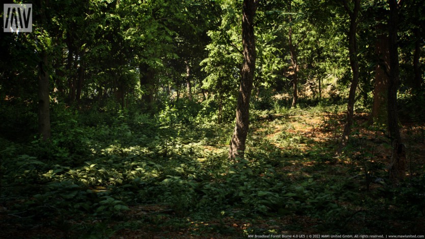 UE虚幻引擎 阔叶树森林生物群落 MW Broadleaf Trees Forest Biome