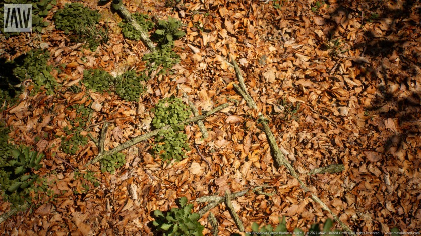 UE虚幻引擎 阔叶树森林生物群落 MW Broadleaf Trees Forest Biome