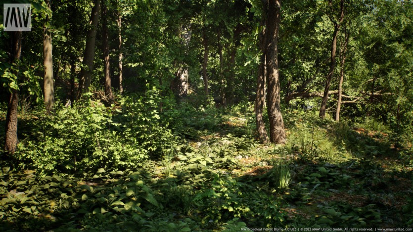 UE虚幻引擎 阔叶树森林生物群落 MW Broadleaf Trees Forest Biome
