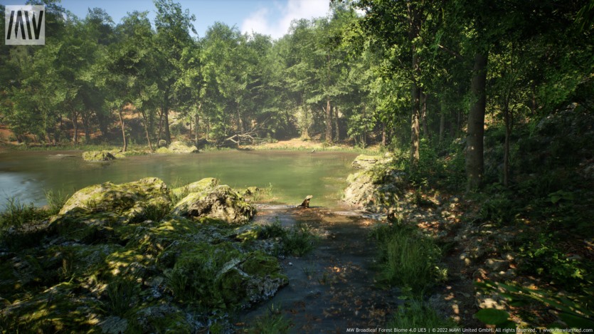 UE虚幻引擎 阔叶树森林生物群落 MW Broadleaf Trees Forest Biome