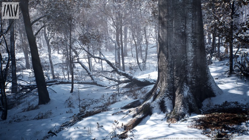 UE虚幻引擎 阔叶树森林生物群落 MW Broadleaf Trees Forest Biome