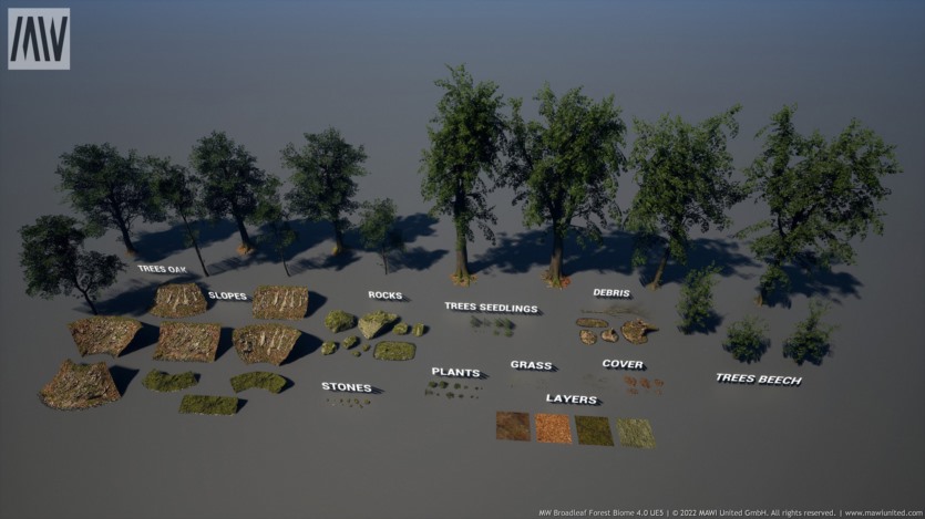 UE虚幻引擎 阔叶树森林生物群落 MW Broadleaf Trees Forest Biome