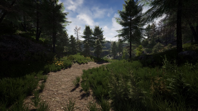 Unreal Engine虚幻引擎美丽乡村环境资产 Stone Pine Forest