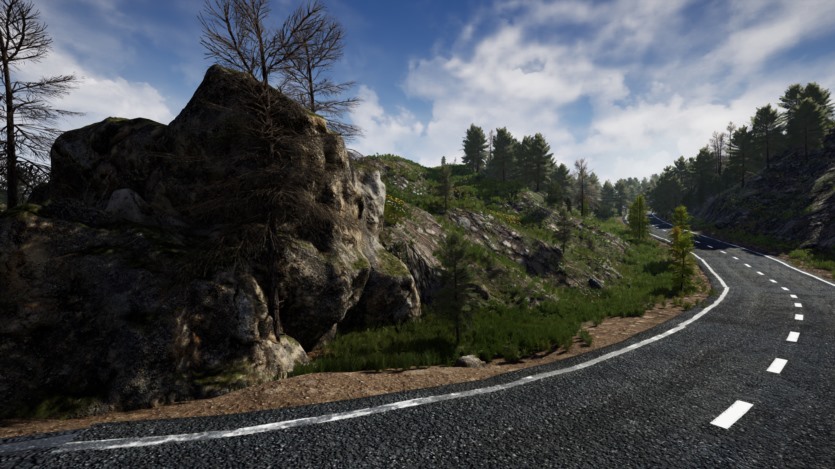 Unreal Engine虚幻引擎美丽乡村环境资产 Stone Pine Forest