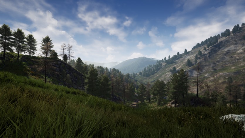 Unreal Engine虚幻引擎美丽乡村环境资产 Stone Pine Forest