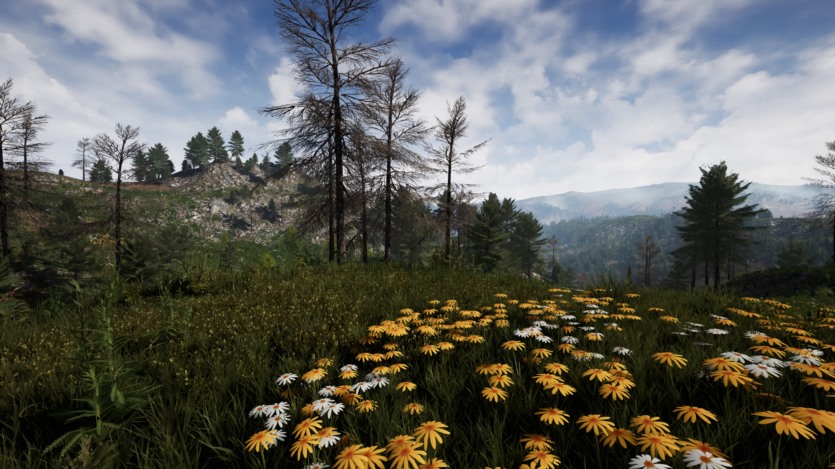 Unreal Engine虚幻引擎美丽乡村环境资产 Stone Pine Forest