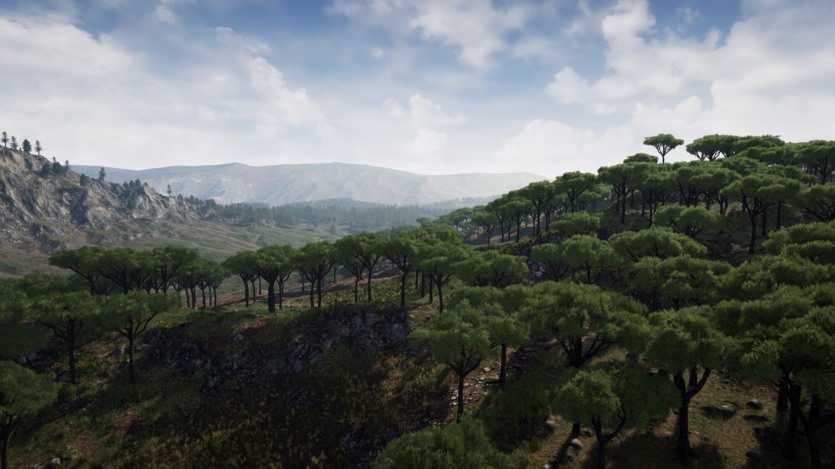 Unreal Engine虚幻引擎美丽乡村环境资产 Stone Pine Forest