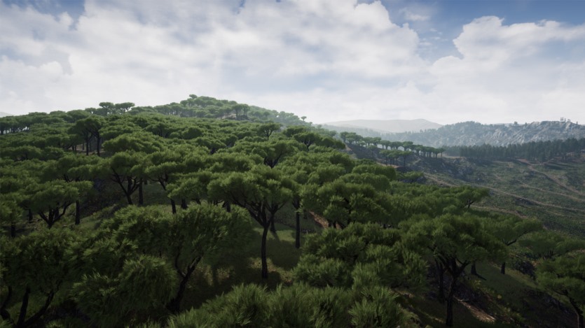 Unreal Engine虚幻引擎美丽乡村环境资产 Stone Pine Forest