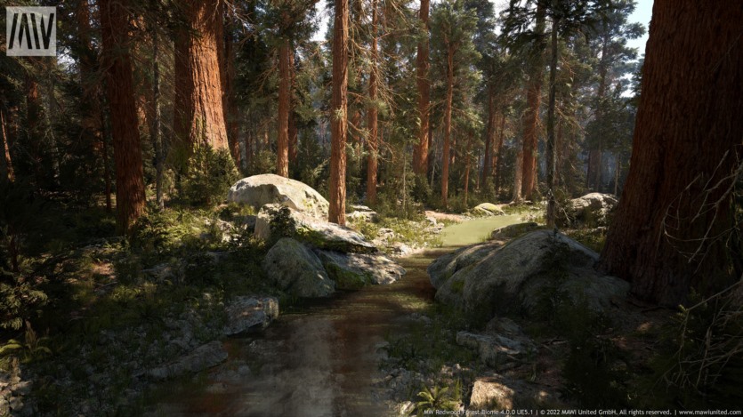 Unreal Engine虚幻引擎红木树森林生物群落资产 MW Redwood Trees Forest Biome