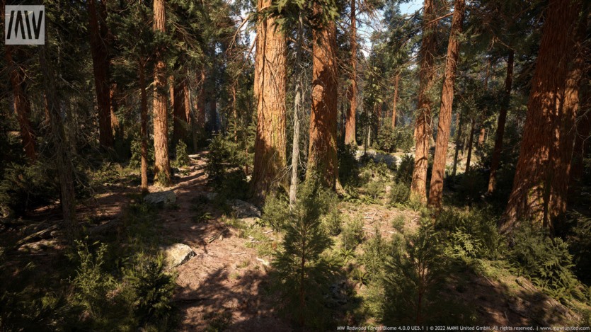 Unreal Engine虚幻引擎红木树森林生物群落资产 MW Redwood Trees Forest Biome