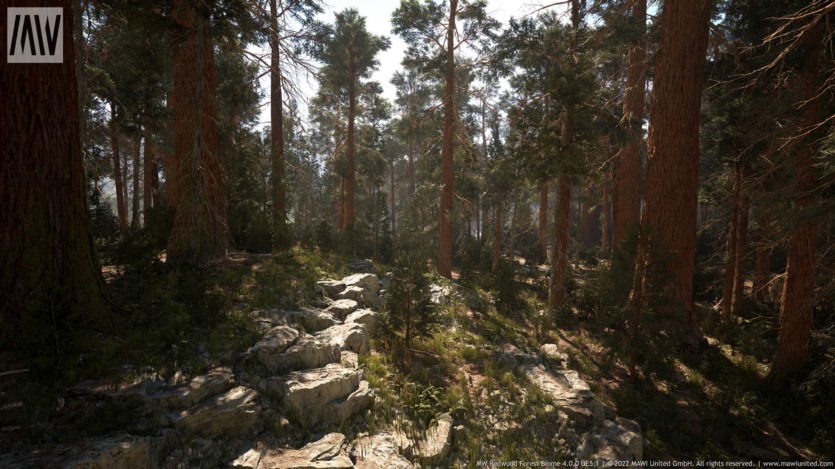Unreal Engine虚幻引擎红木树森林生物群落资产 MW Redwood Trees Forest Biome