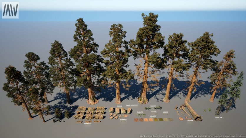 Unreal Engine虚幻引擎红木树森林生物群落资产 MW Redwood Trees Forest Biome