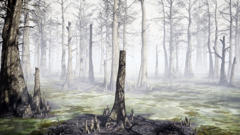 Unreal Engine虚幻引擎茂盛或贫瘠的沼泽游戏环境资产 Bald Cypress Swamp