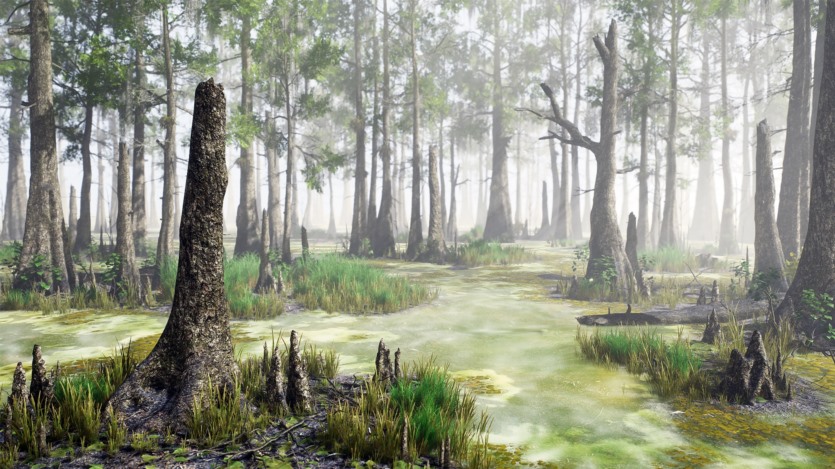 Unreal Engine虚幻引擎茂盛或贫瘠的沼泽游戏环境资产 Bald Cypress Swamp