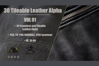 30个皮革Alpha无缝可平铺 30 Leather Alphas (Seamless and Tileable – Vol 01)