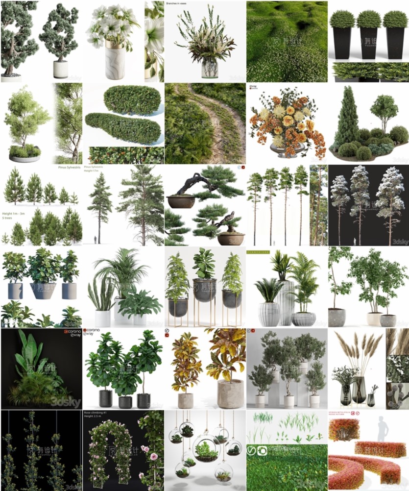 61套植物树木盆栽灌木3D模型合集 3DSky Pro Plants 3D Models Collection