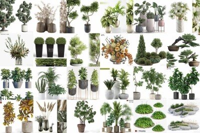 61套植物树木盆栽灌木3D模型合集 3DSky Pro Plants 3D Models Collection