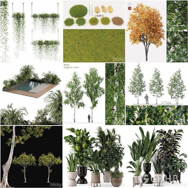 61套植物树木盆栽灌木3D模型合集 3DSky Pro Plants 3D Models Collection