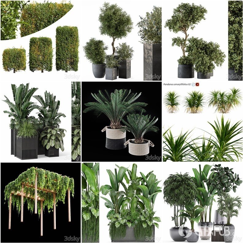 61套植物树木盆栽灌木3D模型合集 3DSky Pro Plants 3D Models Collection