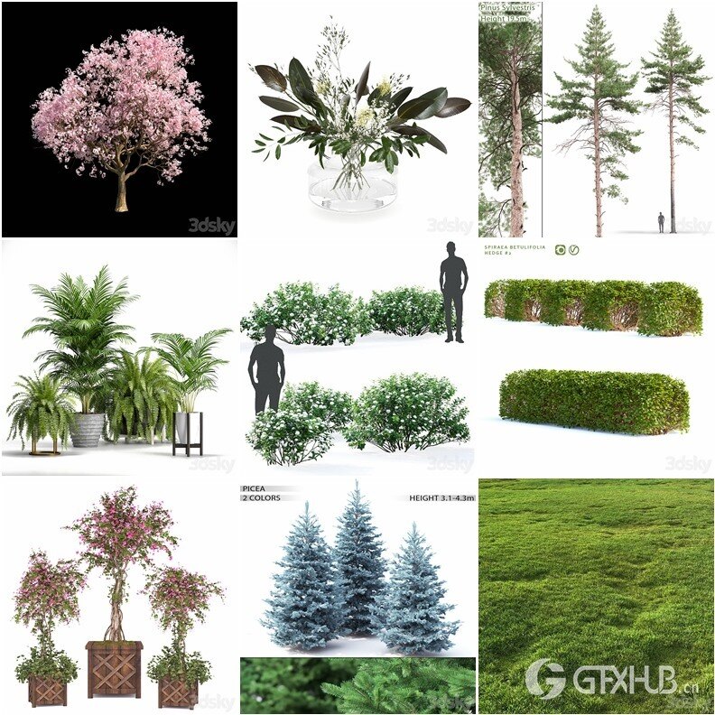 61套植物树木盆栽灌木3D模型合集 3DSky Pro Plants 3D Models Collection