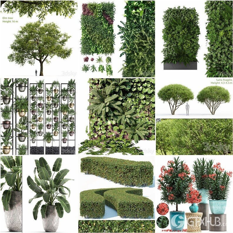 61套植物树木盆栽灌木3D模型合集 3DSky Pro Plants 3D Models Collection
