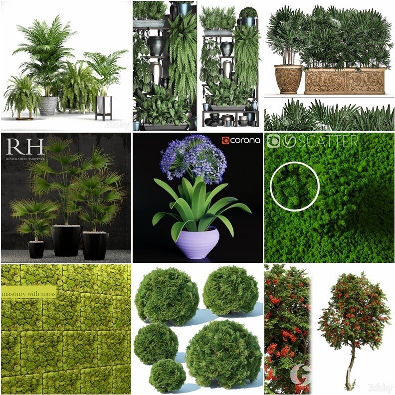61套植物树木盆栽灌木3D模型合集 3DSky Pro Plants 3D Models Collection