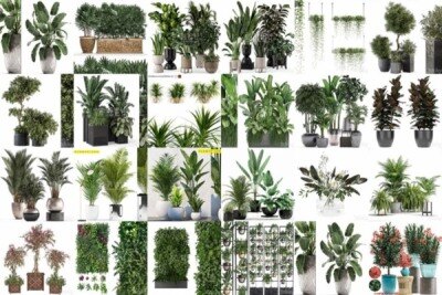 61套植物树木盆栽灌木3D模型合集 3DSky Pro Plants 3D Models Collection