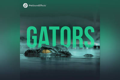 鳄鱼声音音效 Pro Sound Effects – Gators