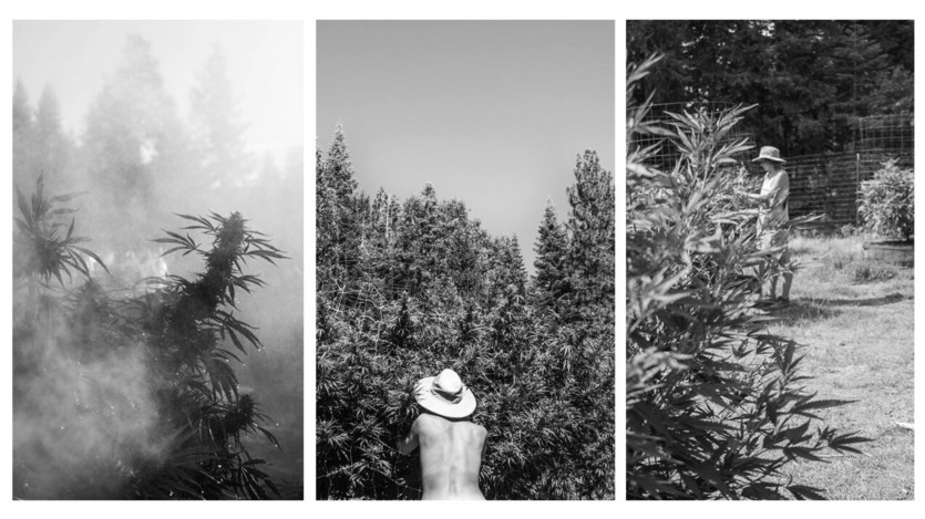 叙事摄影：通过摄影镜头讲故事 Narrative Photography Storytelling through a Photographic Lens