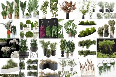 63套植物树木盆栽灌木3D模型合集 3DSky Pro Plants 3D Models Collection
