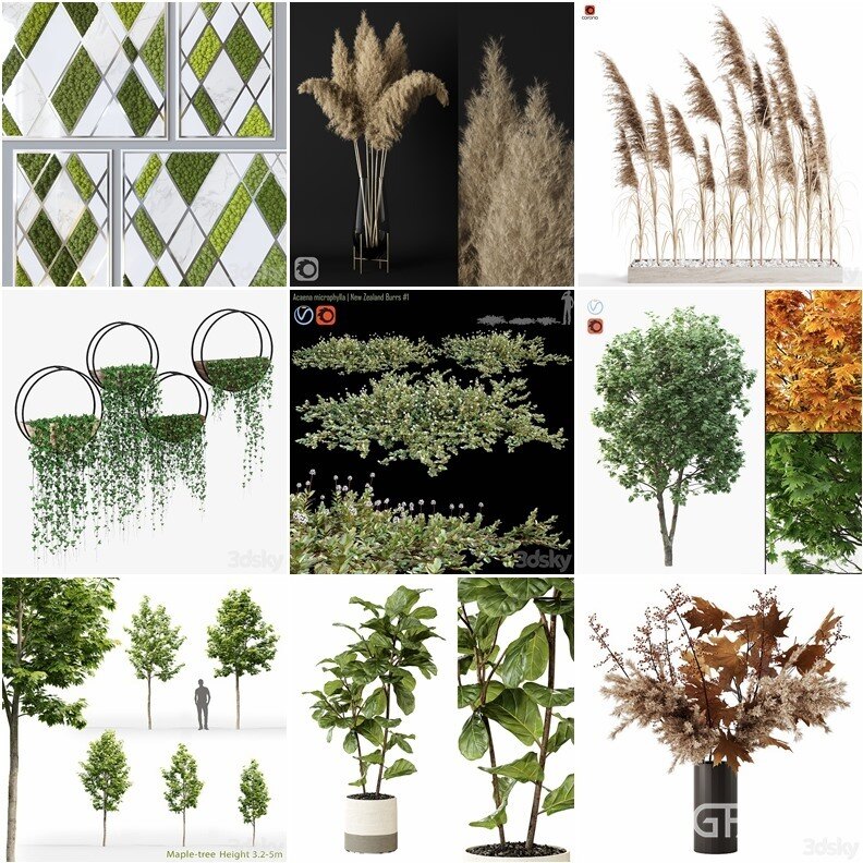 63套植物树木盆栽灌木3D模型合集 3DSky Pro Plants 3D Models Collection