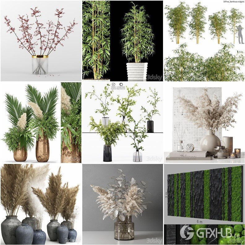 63套植物树木盆栽灌木3D模型合集 3DSky Pro Plants 3D Models Collection