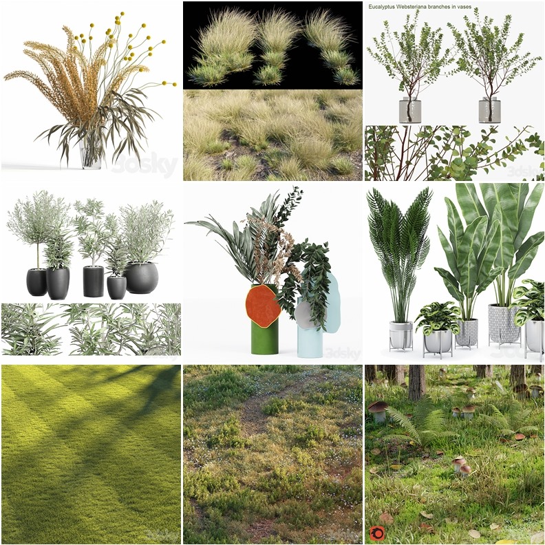63套植物树木盆栽灌木3D模型合集 3DSky Pro Plants 3D Models Collection
