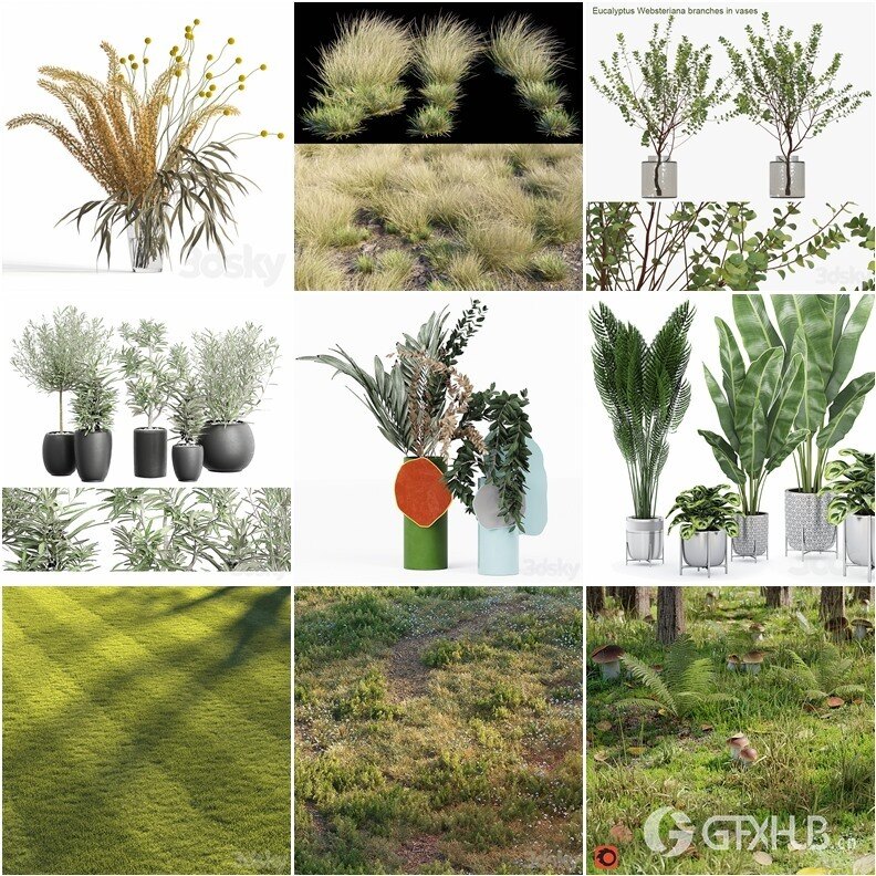63套植物树木盆栽灌木3D模型合集 3DSky Pro Plants 3D Models Collection