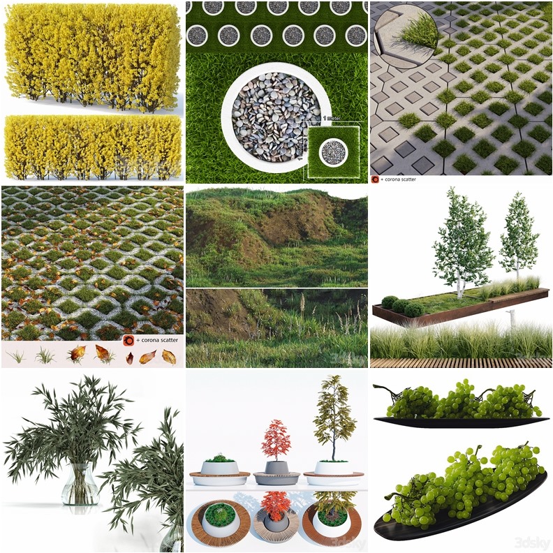 63套植物树木盆栽灌木3D模型合集 3DSky Pro Plants 3D Models Collection
