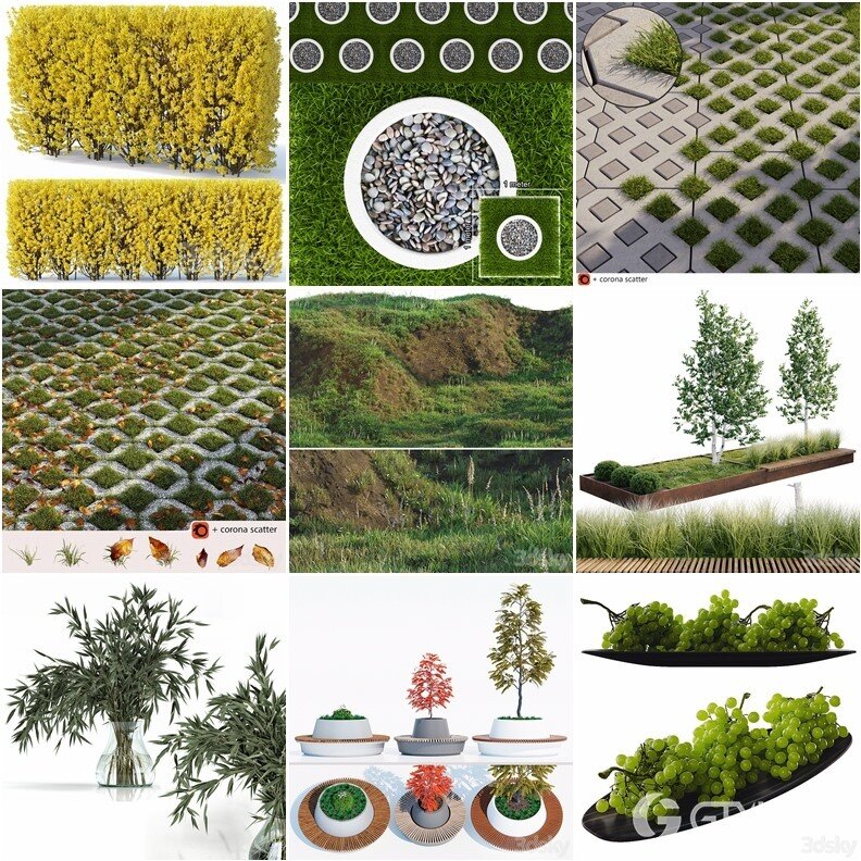 63套植物树木盆栽灌木3D模型合集 3DSky Pro Plants 3D Models Collection