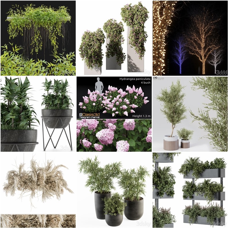 63套植物树木盆栽灌木3D模型合集 3DSky Pro Plants 3D Models Collection