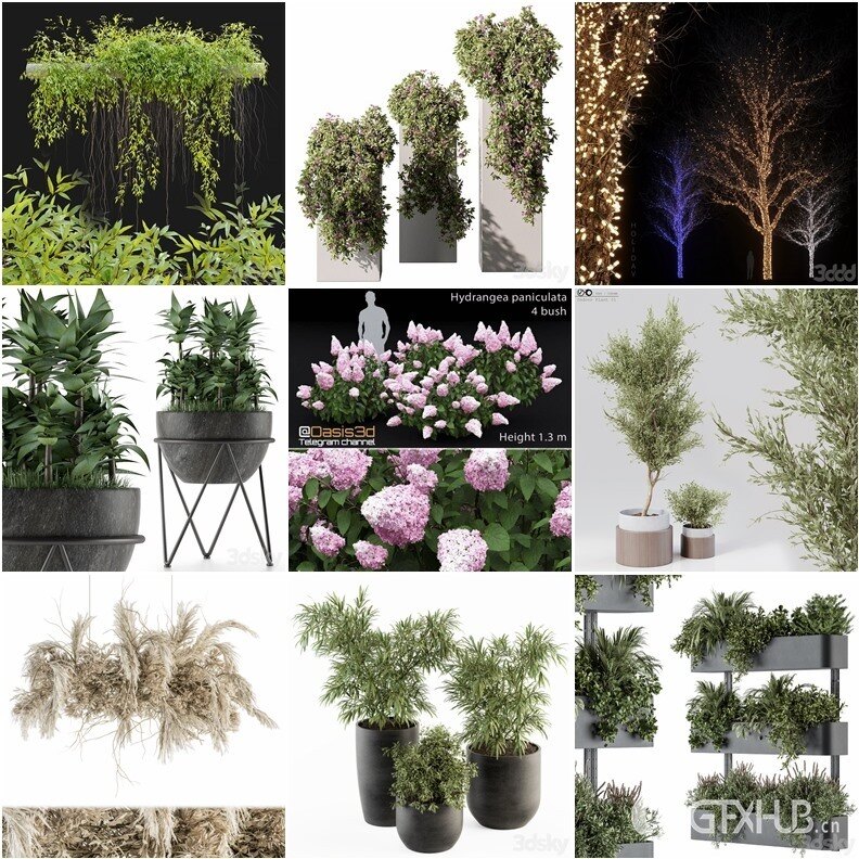 63套植物树木盆栽灌木3D模型合集 3DSky Pro Plants 3D Models Collection
