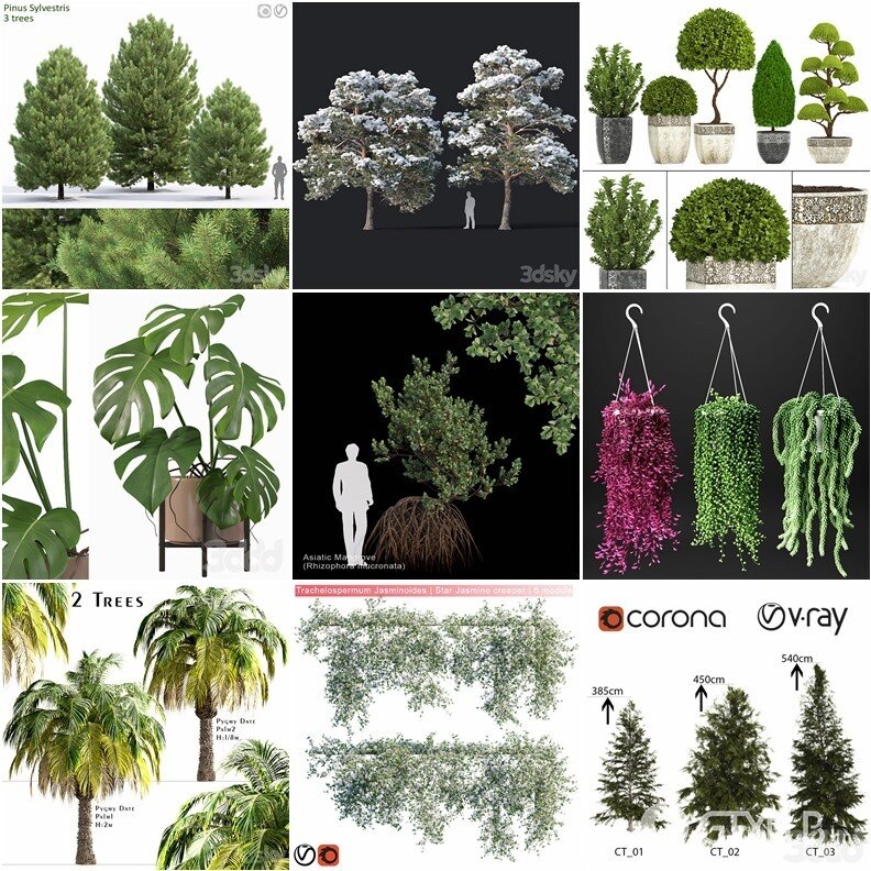 63套植物树木盆栽灌木3D模型合集 3DSky Pro Plants 3D Models Collection