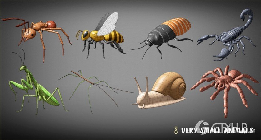 100种动物基础网格低聚3D模型 100 Animals Base Meshes