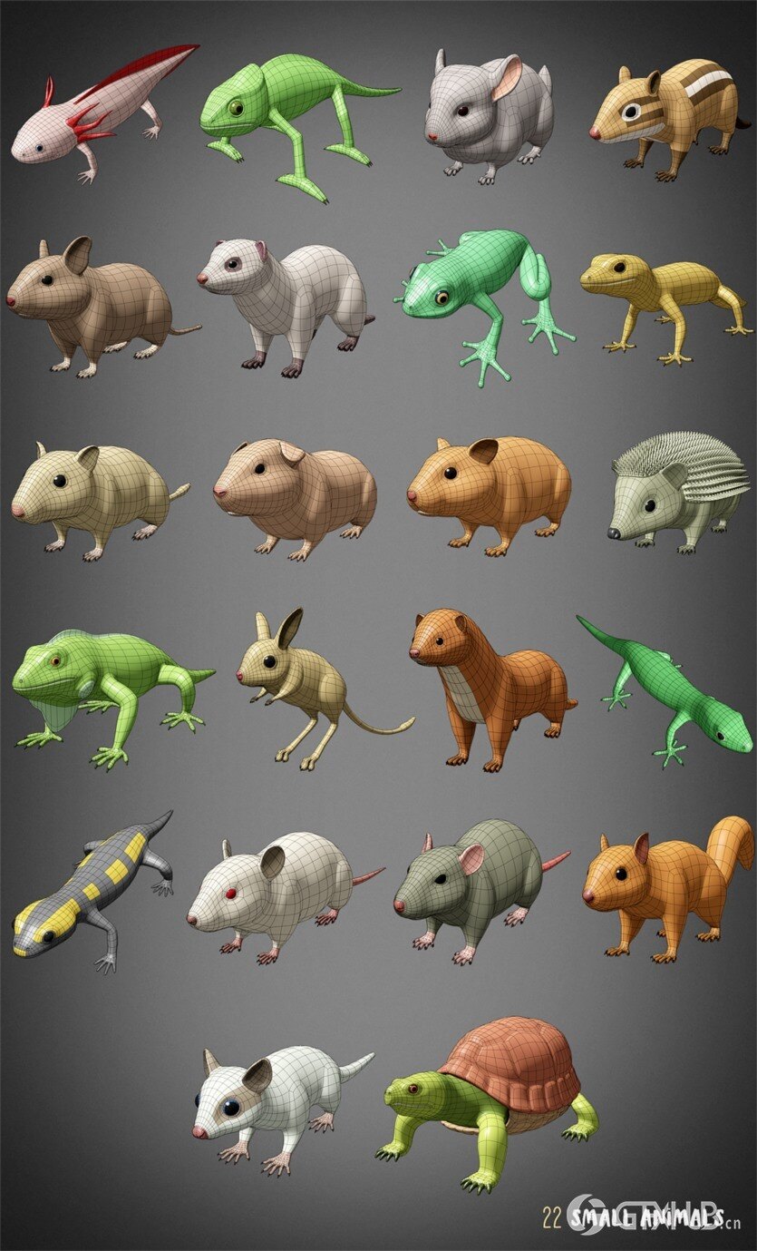 100种动物基础网格低聚3D模型 100 Animals Base Meshes