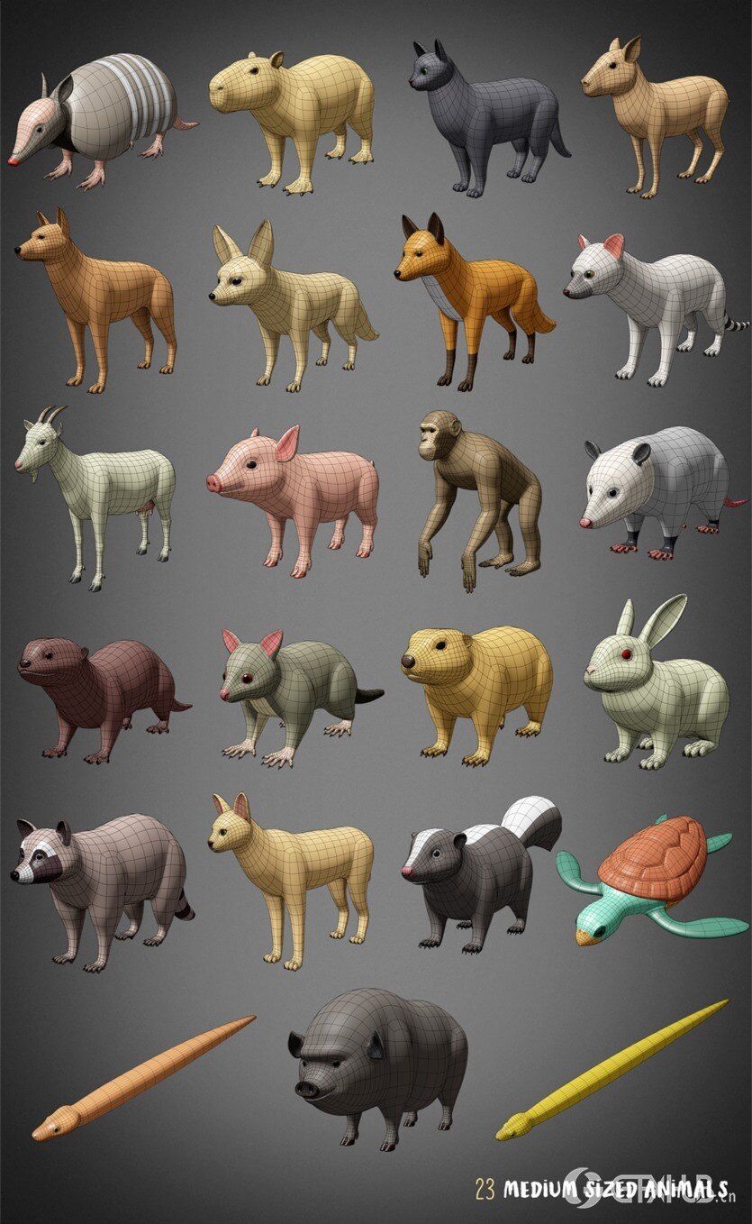 100种动物基础网格低聚3D模型 100 Animals Base Meshes