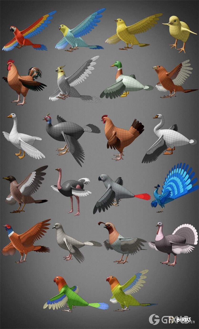 100种动物基础网格低聚3D模型 100 Animals Base Meshes