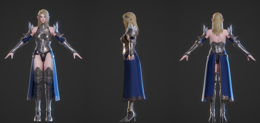 游戏角色精灵圣骑士3D模型 (格式：BlendMAXFBXMAYAUE4) Elf Paladin - Game Ready